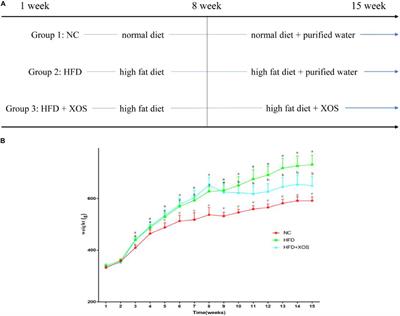 Xylooligosaccharide Modulates Gut Microbiota and Alleviates Colonic Inflammation Caused by High Fat Diet Induced Obesity